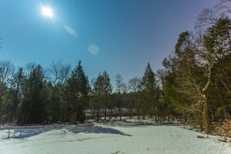 Enlarge photo 9
