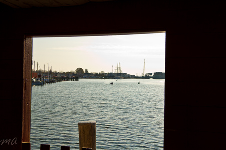 Enlarge photo 36