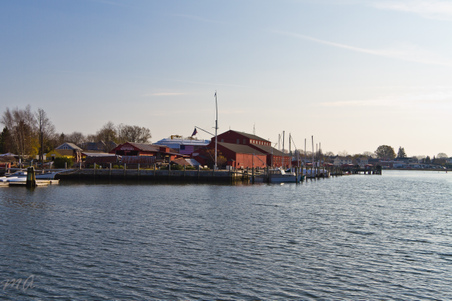 Enlarge photo 37