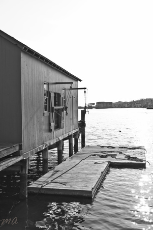 Enlarge photo 46
