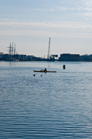 Enlarge photo 55