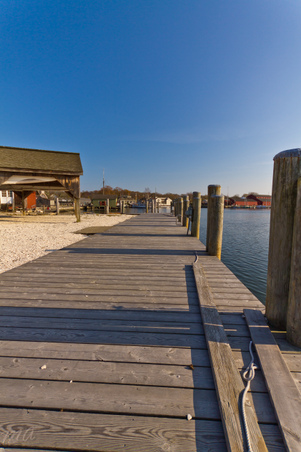 Enlarge photo 81