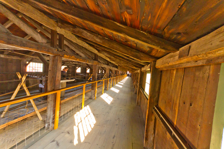 Enlarge photo 103