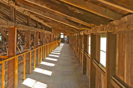 Enlarge photo 106
