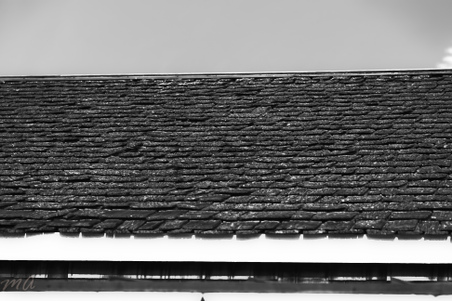 Enlarge photo 121