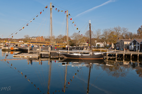 Enlarge photo 149