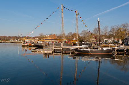 Enlarge photo 154