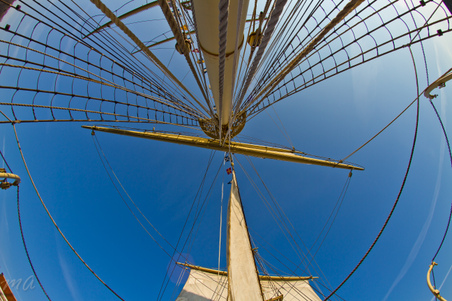 Enlarge photo 171