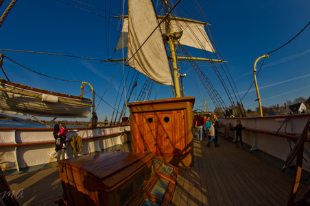 Enlarge photo 185
