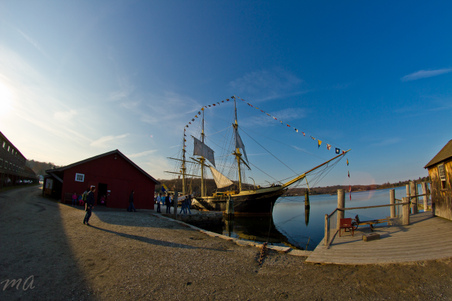 Enlarge photo 213