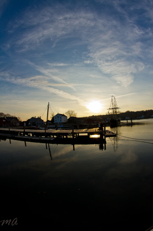 Enlarge photo 244