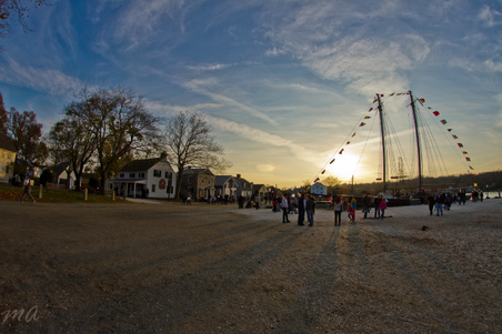 Enlarge photo 249