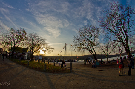 Enlarge photo 251