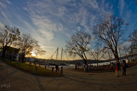 Enlarge photo 252