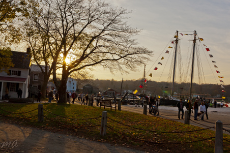Enlarge photo 255