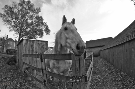 Enlarge photo 275