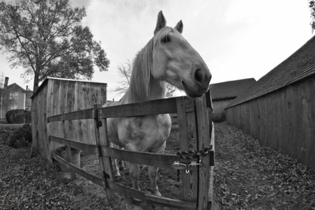 Enlarge photo 276