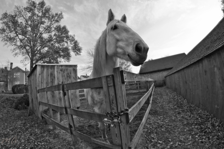 Enlarge photo 280