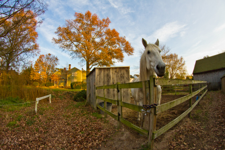 Enlarge photo 294