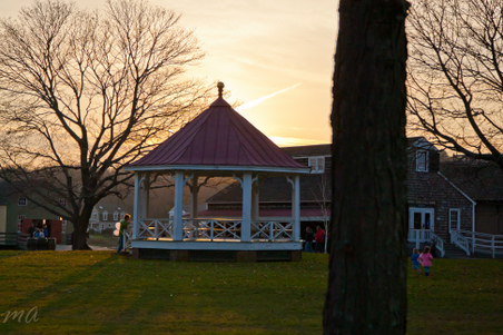 Enlarge photo 296