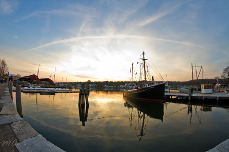 Enlarge photo 298