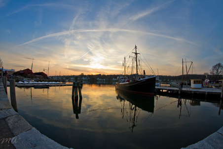 Enlarge photo 299