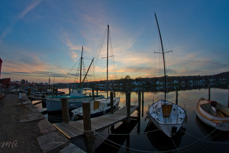 Enlarge photo 309