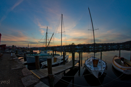 Enlarge photo 310