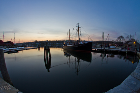 Enlarge photo 315