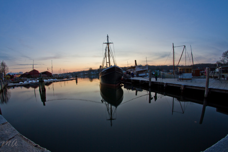 Enlarge photo 316