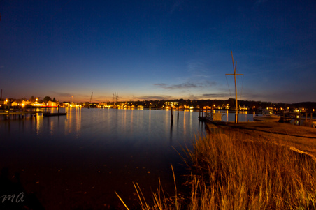 Enlarge photo 331
