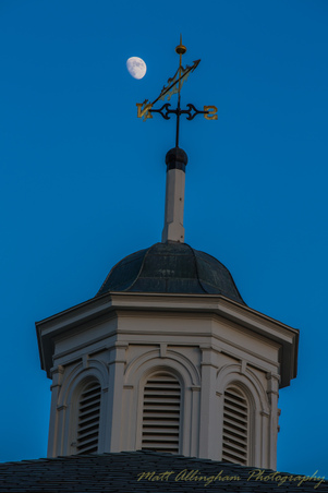 Enlarge photo 124
