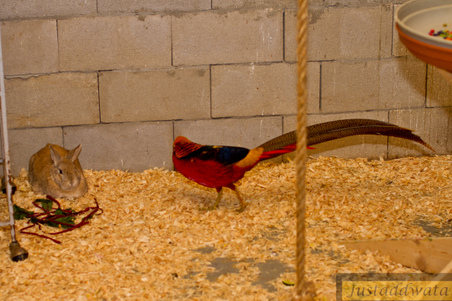 Enlarge photo 151