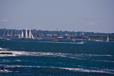 Enlarge photo 26