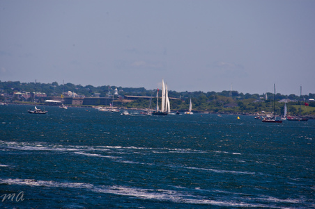 Enlarge photo 27