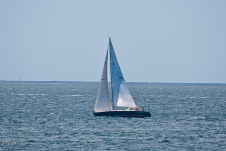 Enlarge photo 41