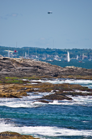 Enlarge photo 42