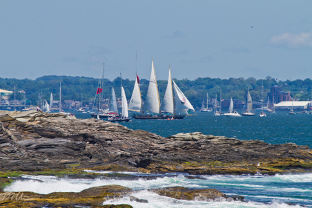 Enlarge photo 44
