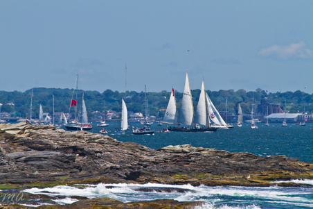Enlarge photo 47