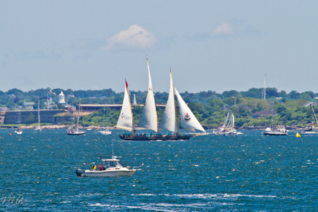 Enlarge photo 49
