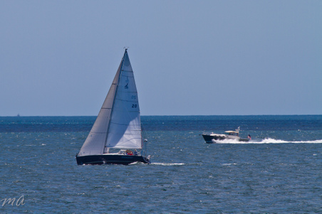 Enlarge photo 50