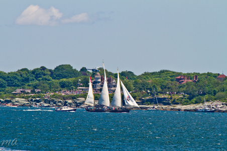 Enlarge photo 53