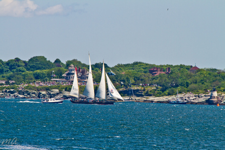 Enlarge photo 54