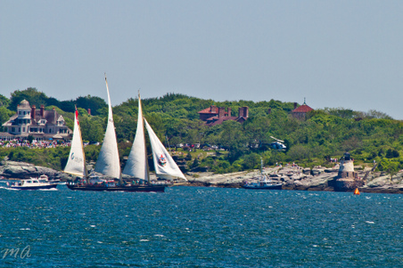 Enlarge photo 55