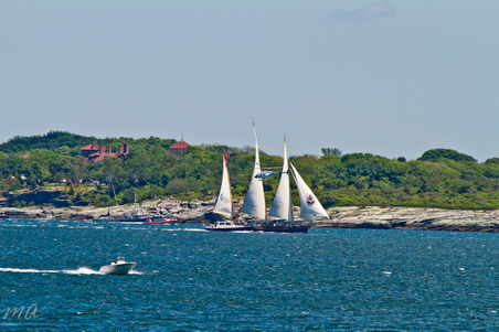 Enlarge photo 57