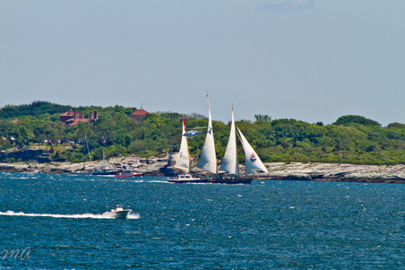 Enlarge photo 58