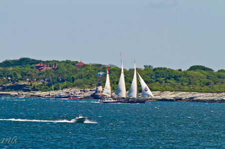 Enlarge photo 59