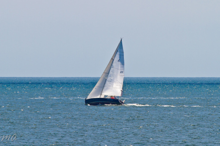 Enlarge photo 61