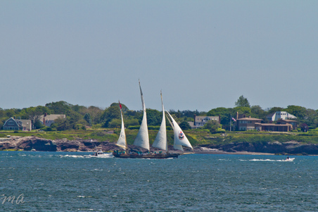 Enlarge photo 65
