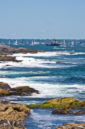 Enlarge photo 66